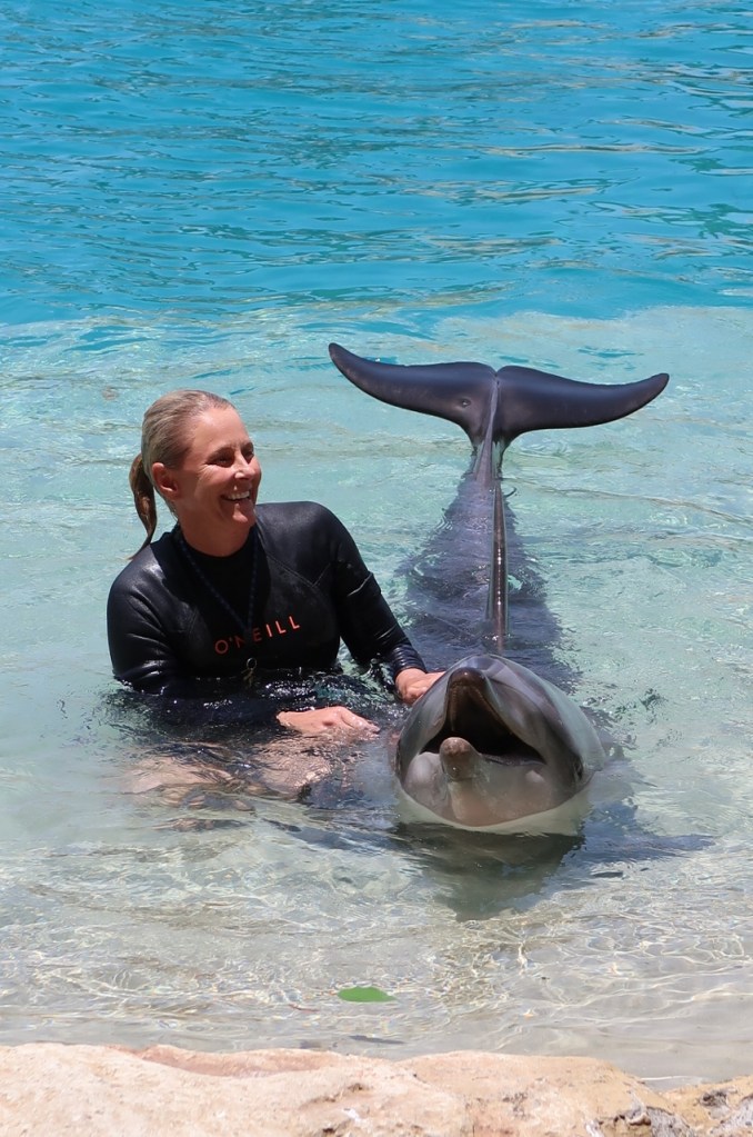 A dolphin with its trainer at Sea World Marine Theme Park