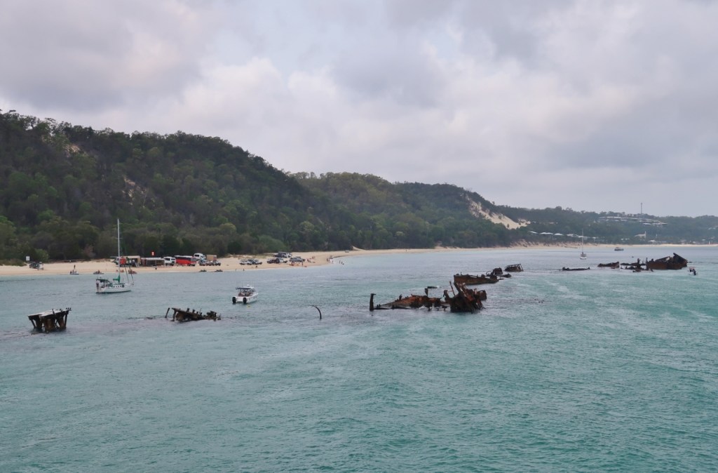The shipwrecks for snorkelling off the beach at Moreton Island