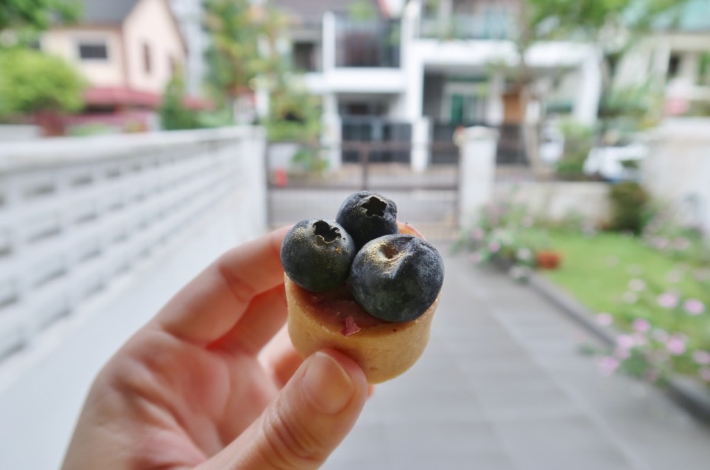 Blueberry cheesecake mini tart from Bob The Baker Boy