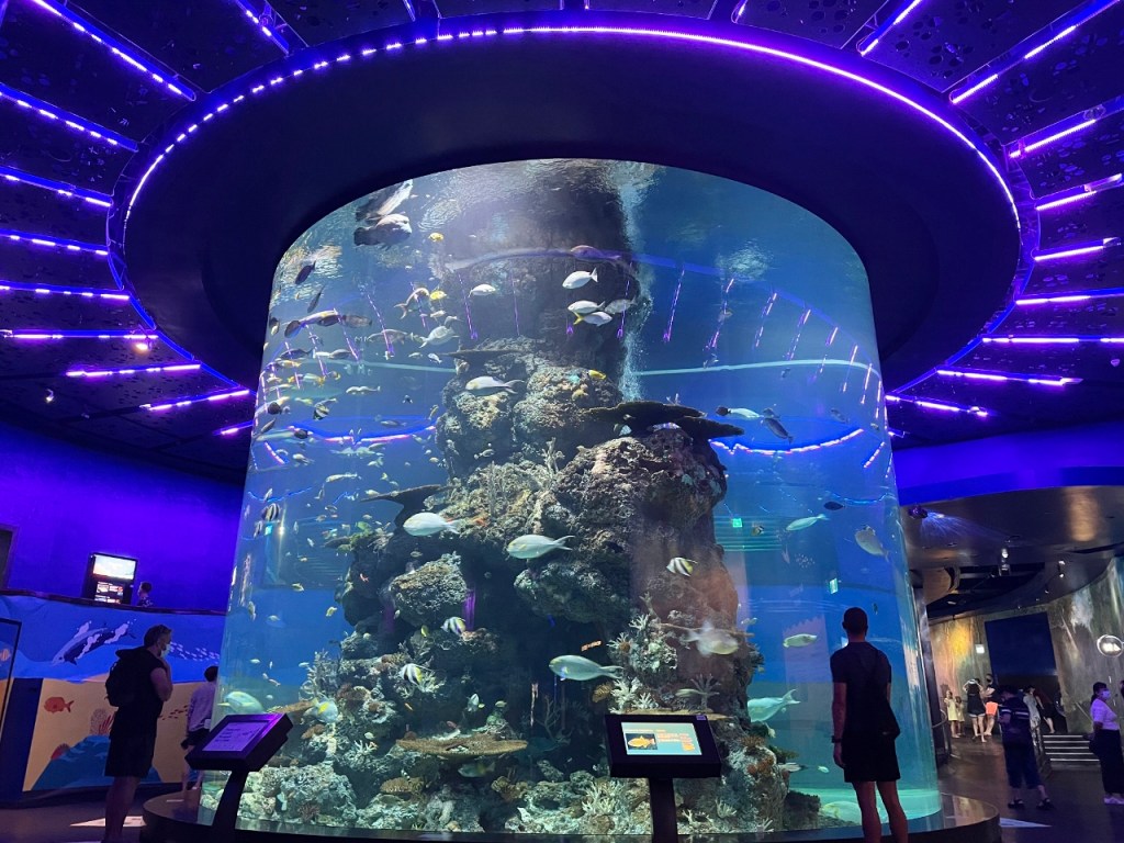 Coral Garden habitat at S.E.A. Aquarium Resorts World Sentosa