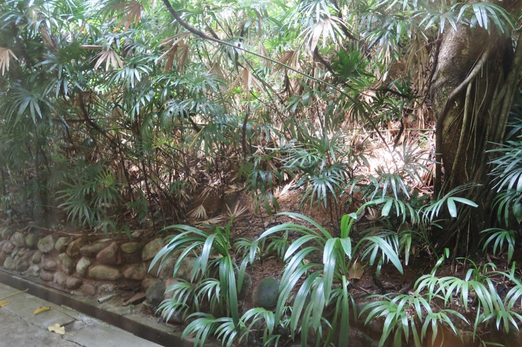 The view of back-end shrubbery from Junior Suite at Goodwood Park Hotel