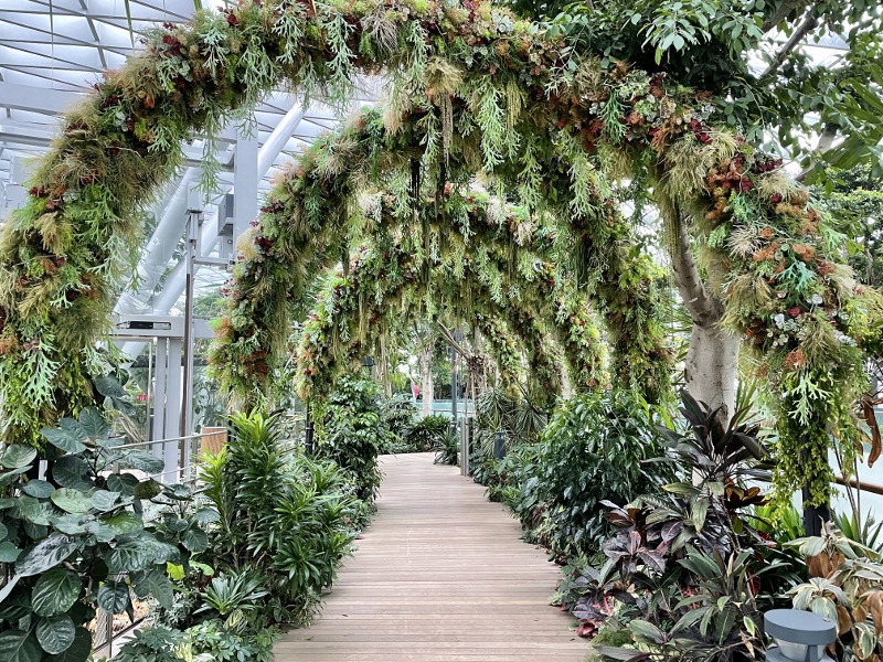 Garden walk in Canopy Park at Jewel Changi Airport