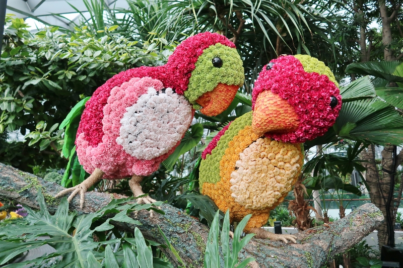 Topiary Walk attraction in Canopy Park at Jewel Changi Airport