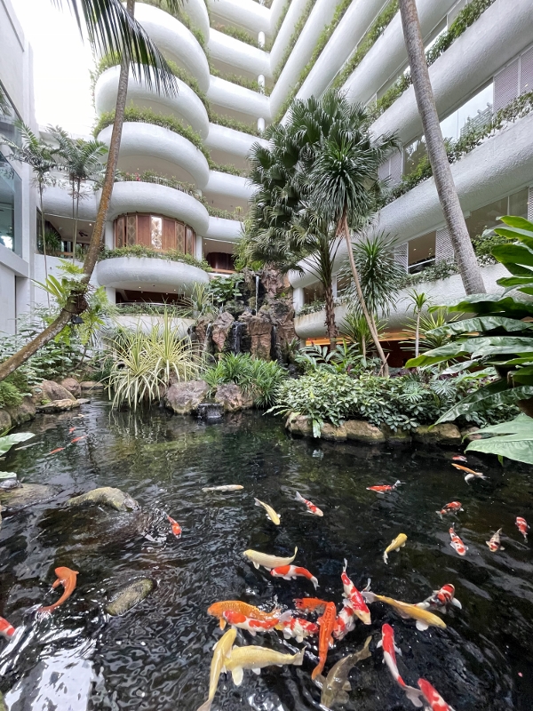 Review Shangri La Hotel Garden Wing Singapore Dania Experiences Review Shangri La Hotel Garden Wing Singapore Dania Experiences