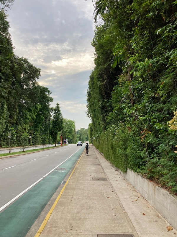 Cycling along the paths beside the main road