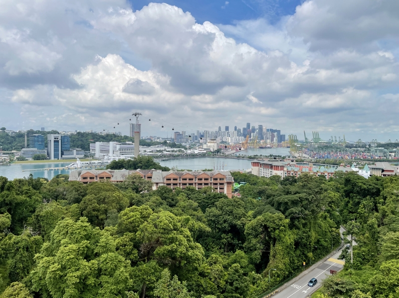 The view of the city from a cable car