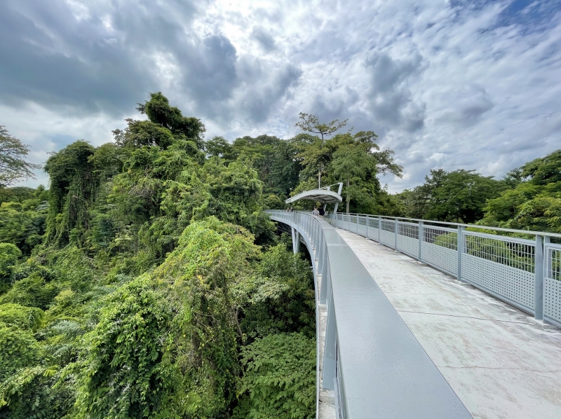 The view from Fort Siloso Skywalk