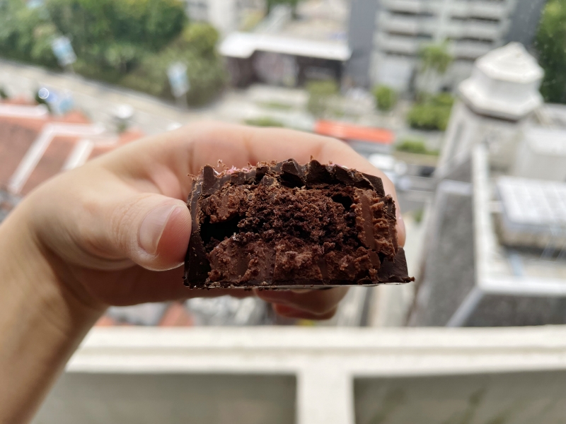 Halved ginger flower chocolate mooncake from Janice Wong Pure Imagination confectionary at Paragon shopping mall