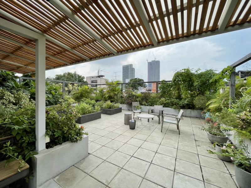 Rooftop garden at Tamni Hostel
