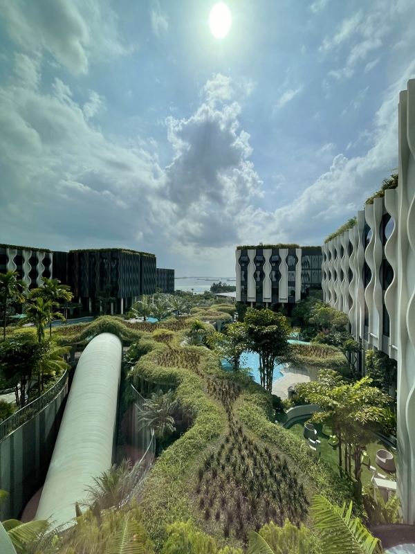 The view from Deluxe Room at Village Hotel Sentosa
