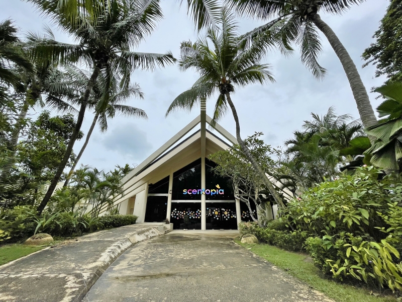 Pathway leading to Scentopia Perfumery