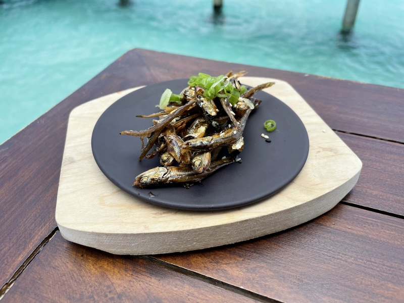 Starter from Bodumas restaurant at Mövenpick Resort Kuredhivaru