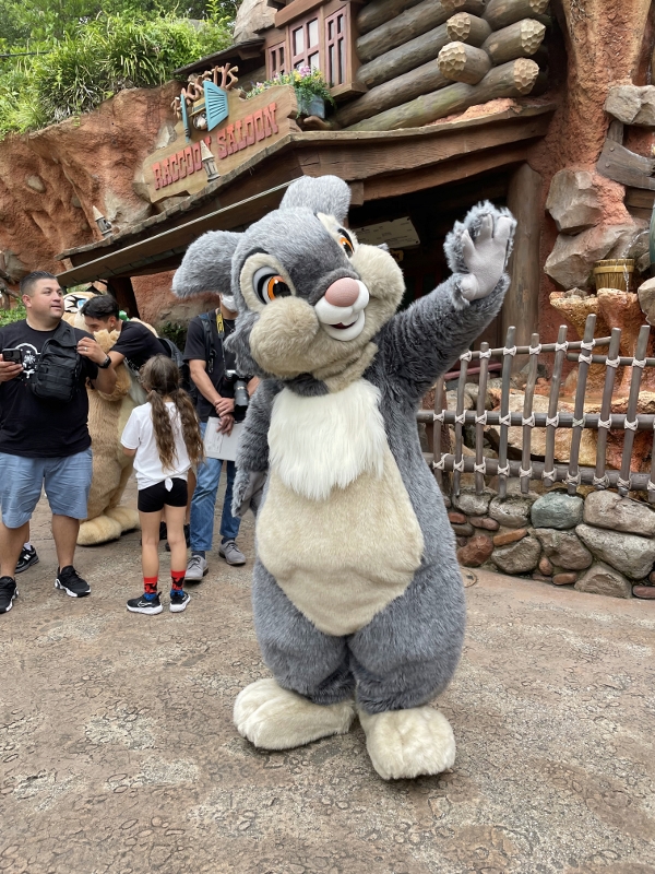 Thumper rabbit character at Tokyo Disneyland
