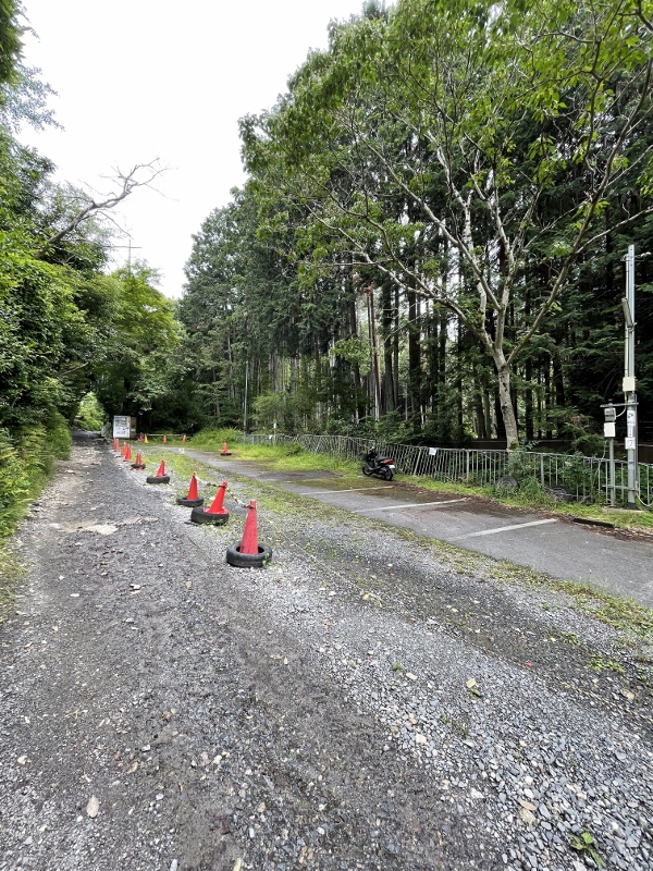 Red cones along the Mount Daimonji trail