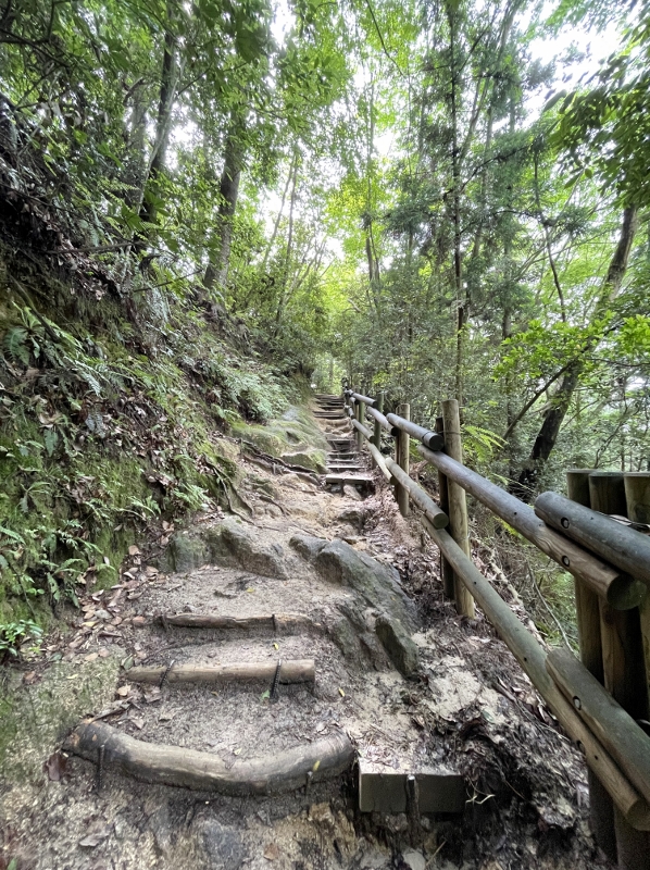 Stairs along the Mount Daimonji trail