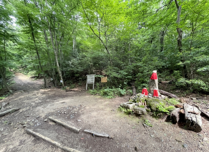 Checkpoint marked with red cloths along the Mount Daimonji trail