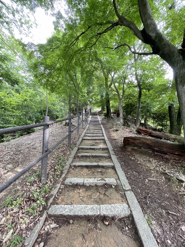 Stairs along the Mount Daimonji trail