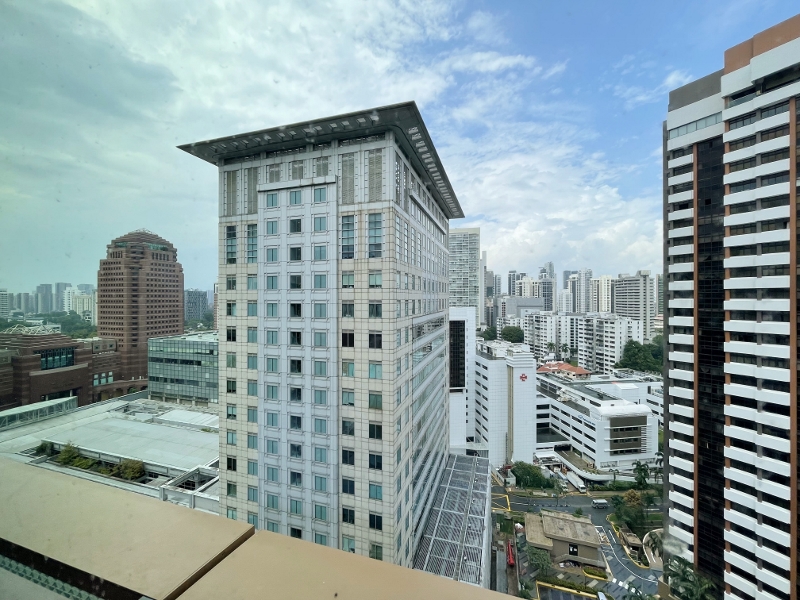 The view from Emerald Room at COMO Metropolitan Hotel